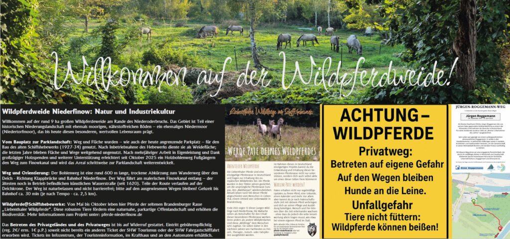 Schild mit Bildern und Erläuterungen zur Wildpferdweide