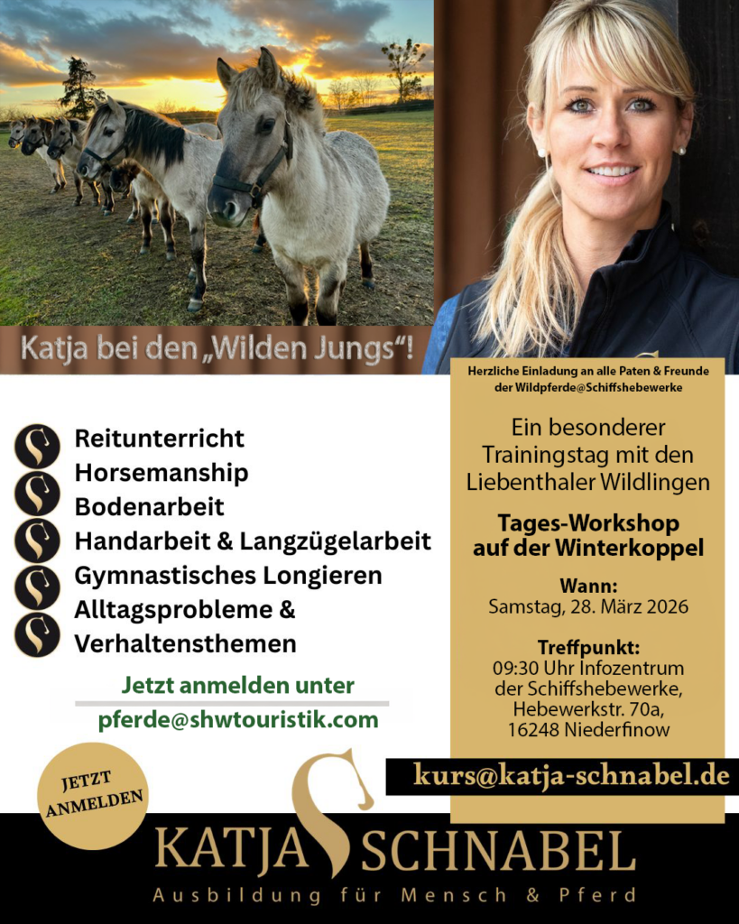 Werbeflyer für den Workshop für die Paten der Wildpferde