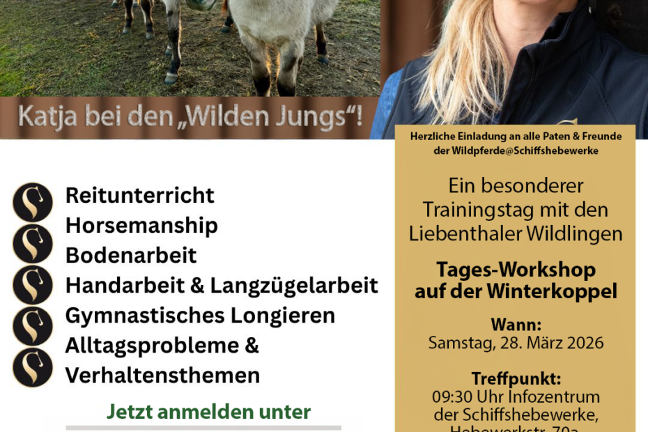 Werbeflyer für den Workshop für die Paten der Wildpferde